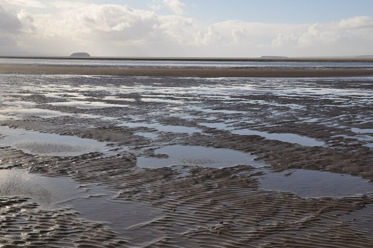 Wide sandy beach at low tide at Sand Bay, Kewstoke