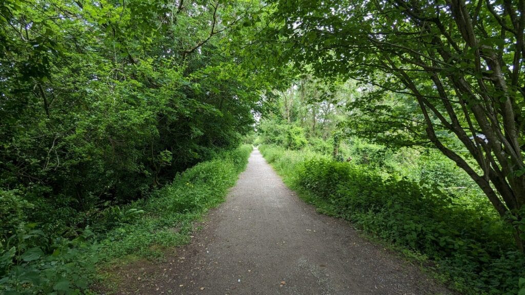 Tree-lined Strawberry Line cycle path in North Somerset