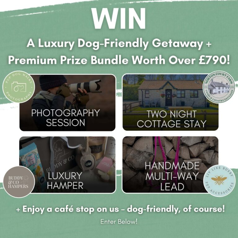 Win a Dog-Friendly Weekend Getaway Worth Over £790!