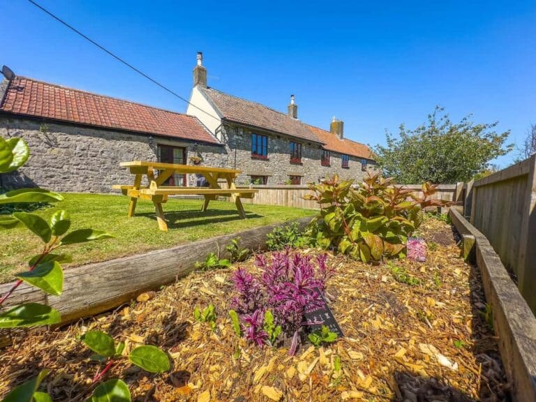 Cottage garden with picnic bench and flower beds at Norton Court Farm, Kewstoke